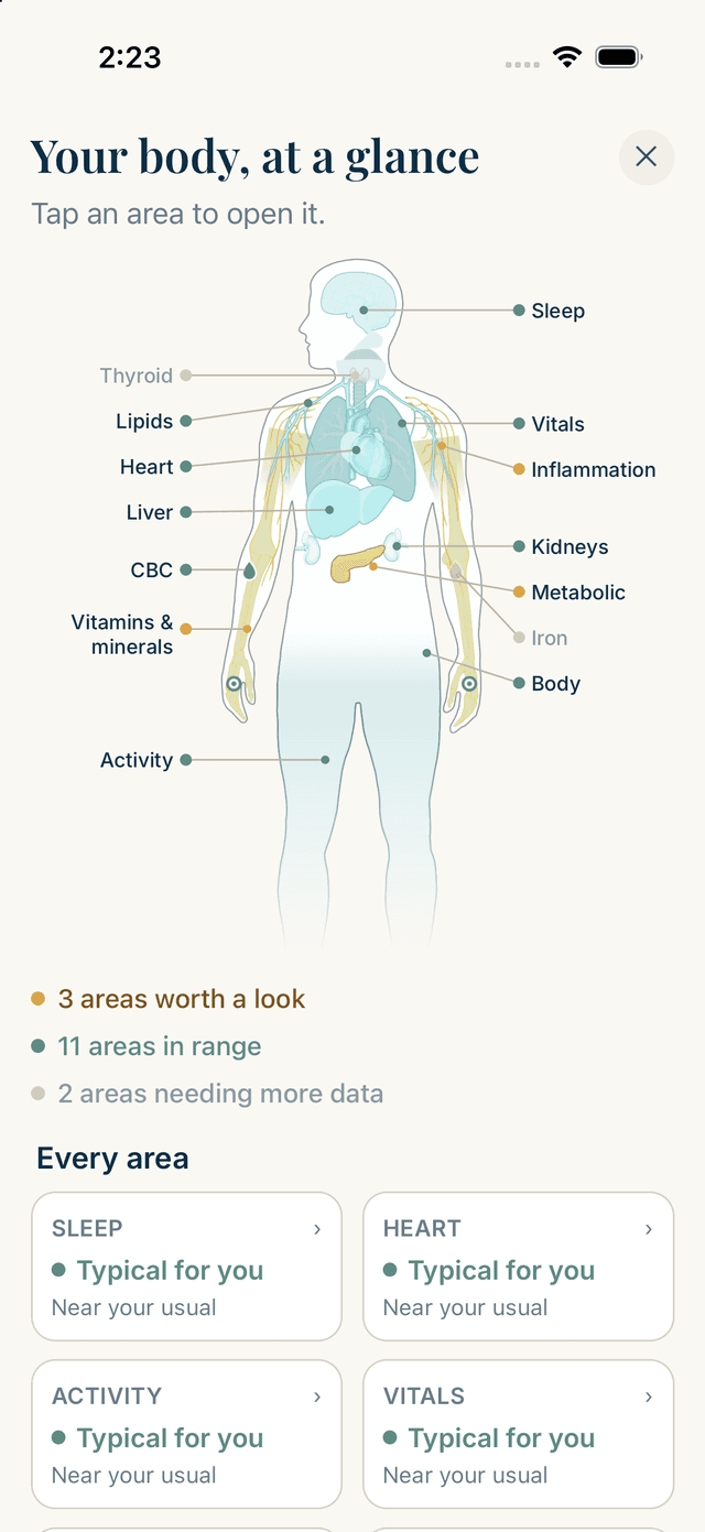 Bearing's body map: each area of the body colored by whether its results are in range, worth a look, or still need data